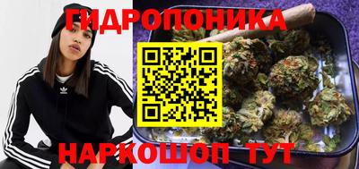 шишки Чапаевск