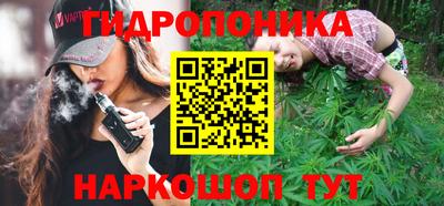 шишки Чебоксары